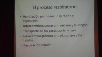 Fisiología 2022. Clase 24º. Fisiología de la Respiración II.