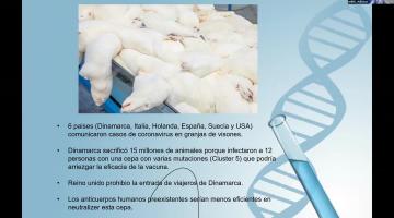 Vacunas COVID-19. Fundamentos del desarrollo, ensayos clínicos y logística de aplicación.