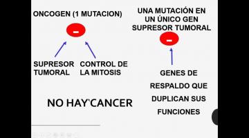 Fisiopatología 2021. Neoplasias 1.