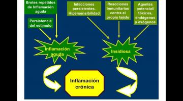Fisiopatología 2021. Inflamación Crónica.
