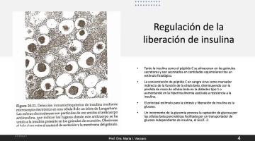 Fisiopatología 2021. Diabetes.