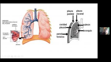 Fisiología y Patol. 2021. Respiratorio.