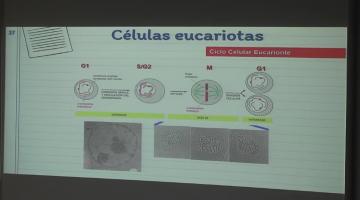 LCTA. BCM. La célula como unidad estructural.