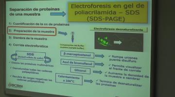 LCTA. BCM. Proteínas.