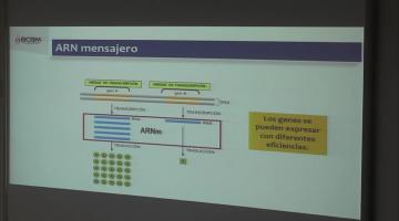 LCTA. BCM. Transcripción y traducción.