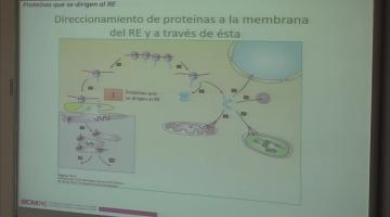 LCTA. BCM. Direccionamiento de Proteínas.