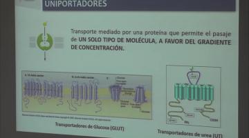 LCTA. BCM Transporte a través de membrana