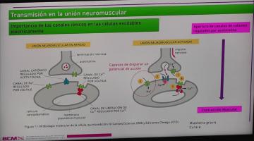 BCM 2023 Transporte a través de Membranas II.