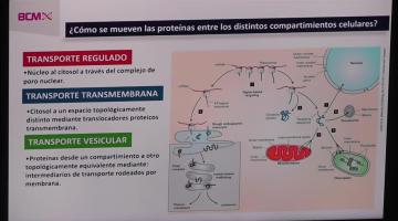 BCM 2023. Compartimientos intracelulares.