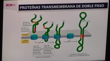 BCM 2023 Compartimientos Intracelulares II.