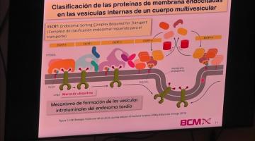 BCM 2023. Tránsito Vesicular II.