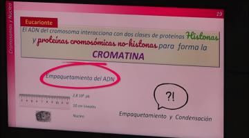 BCM 2023. Los ácidos nucleicos.