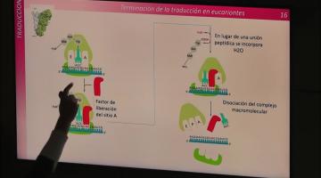 BCM 2023. Acidos Nucleicos II.