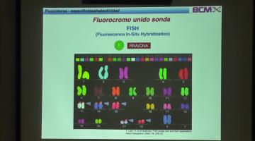 BCM 2023. Microscopía II.