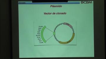 BCM 2023. Técnicas de Biología Molecular.