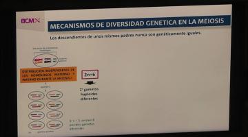 BCM 2023. Meiosis y fecundación.