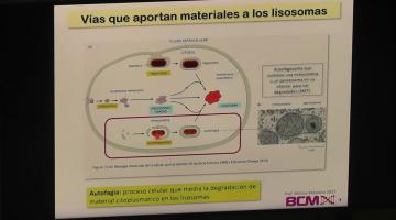 BCM 2023. Autofagia.