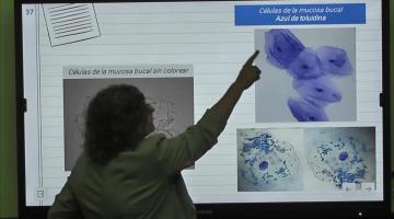LCTA. BCM 2024. La célula como unidad estructural.