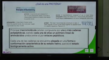 LCTA. BCM 2024. Bases Químicas de la Vida.
