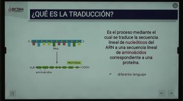LCTA. BCM 2024. Transcripción y Traducción.
